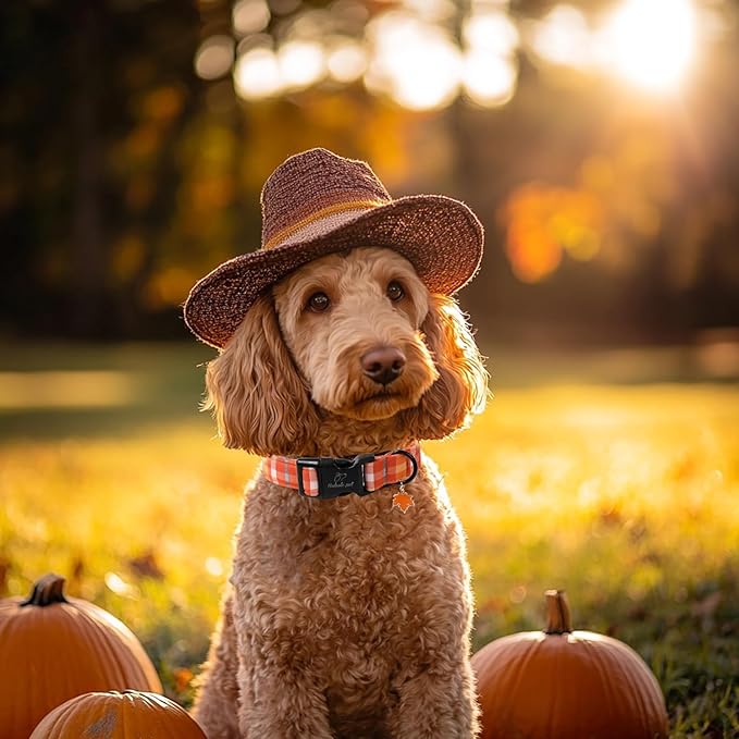 Fall Dog Collar Cute Orange Plaid Puppy Collar - Light Comfortable Adjustable Pet Collars for Small Medium Large Girl Boy Dogs L