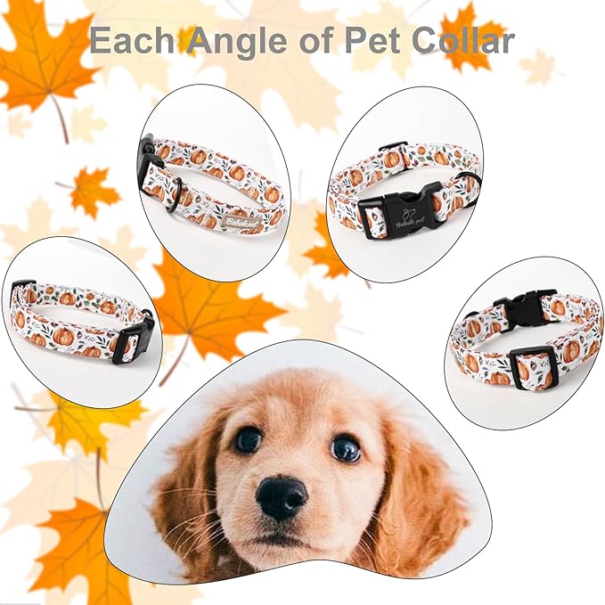 Fall Dog Collar, Cute Orange Pumpkin Pattern Puppy Collar, Soft Comfort Adjustable Holiday Thanksgiving Dog Collars for Small Medium Large Boy&Girl Dogs XL