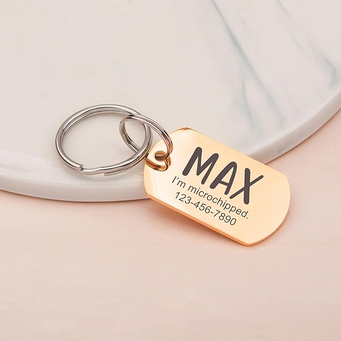 Anavia Personalized Pet ID Tags, Stainless Steel Glossy Laser Engraved Dog Cat Collar Name Tags, Multiple Colors Shapes Sizes (Dog Tag, Small)