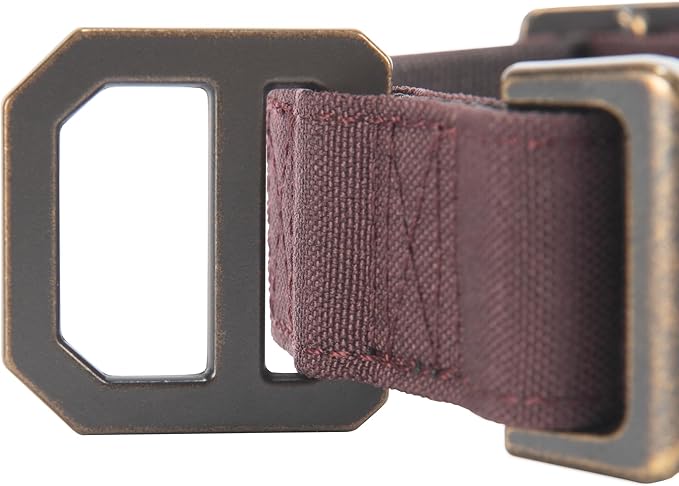 Carhartt Nylon Duck Dog Collar, Fully Adjustable Durable 2-Ply Cordura Nylon Canvas Collars for Dogs, Deep Wine, Medium
