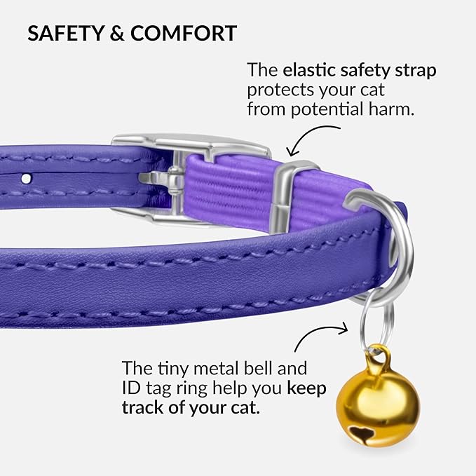 CollarDirect Leather Cat Collar with Bell - Kitten Collar, Small and Big Cat Collar for Boy Cats, Girl Cats with Safety Elastic Strap (Neck Fit 8"-11", Purple)