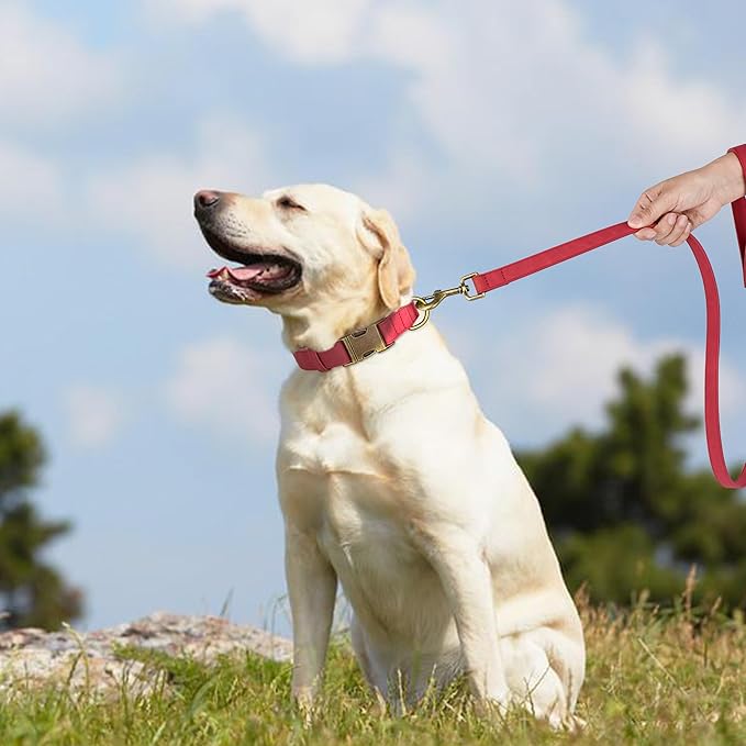 Didog Soft PU Leather Dog Collar, Stylish Quick Released Dog Collars for Large Dogs, Easy Clean Adjustable Pet Collar for Daily Walking, Red, XL Fit 17-27" Neck