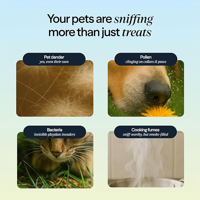 Blueair PetAir Air Purifier for Pets with Built-In Pet Bed, H13 True HEPA, 5-Stage Filtration, Smart Auto Mode, Removes Pet Dander, Hair, Odors & Allergens, Large Rooms up to 1300 sq ft