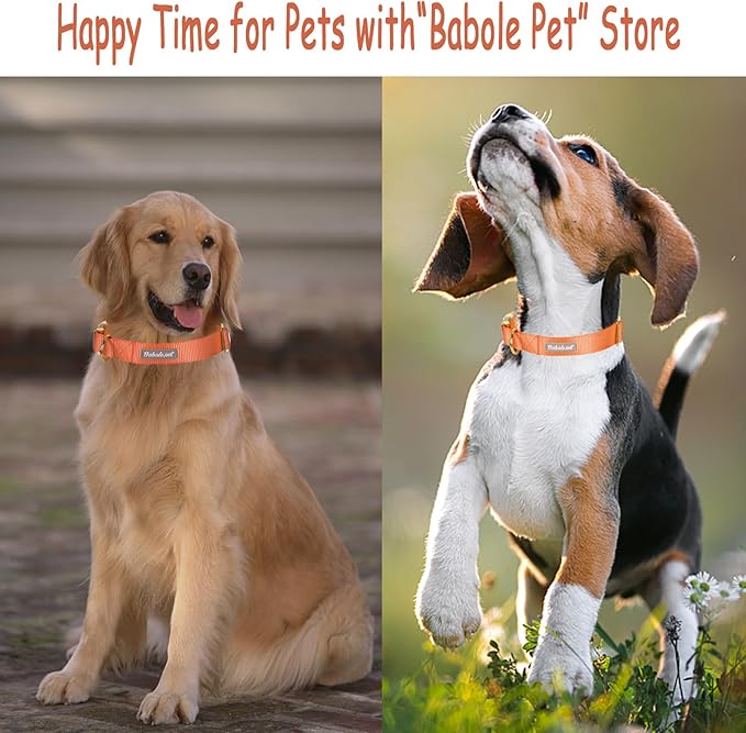 Nylon Dog Collar - Adjustable Orange Soft Webbing Dog Collars for Small Medium Large Dogs Boy Girl Puppy Collar with Safety Metal Buckle S