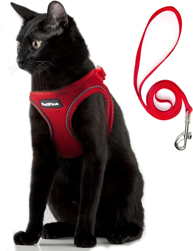 PetiFine Cat Harness and Leash Set,Escape Proof Kitten Harness Reflective,Soft Lightweight Puppy Harness for Walking and Travelling(XXS, Red)