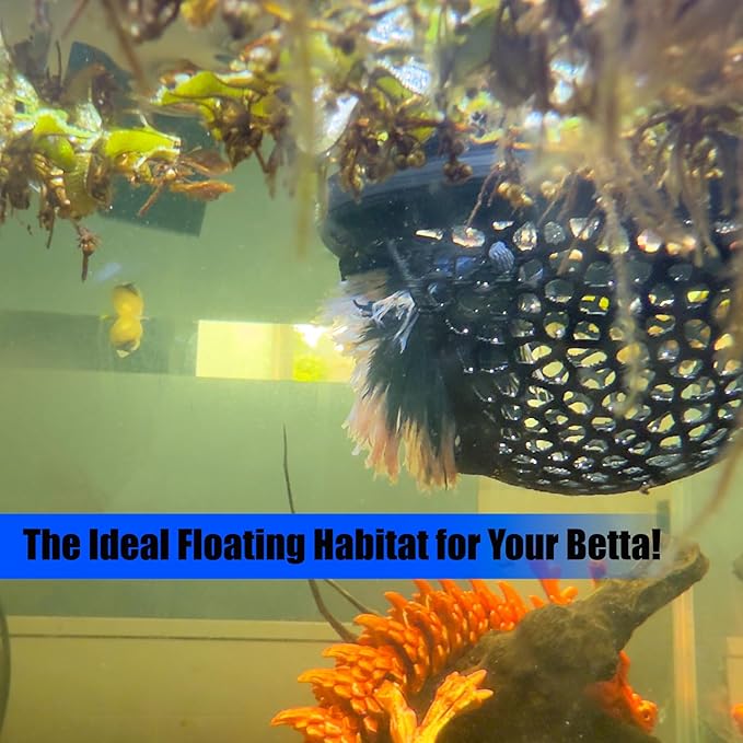 Fish Tank Floating Betta Hide，Betta or Shrimp Burrows and Hammock, Fish and Shrimp Feeder，Multifunctional Aquarium Accessories，Anchorable Location (Black)