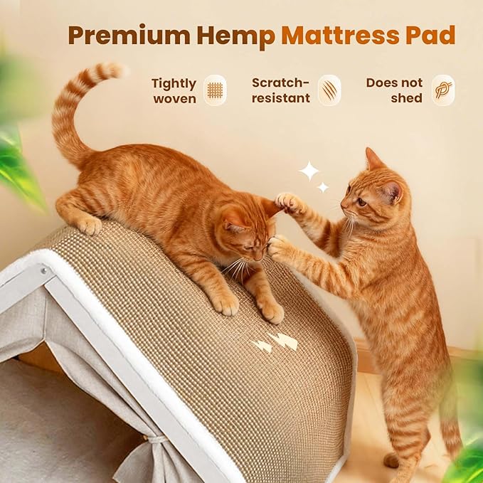Cat Houses for Indoor Cats - 4 Seasons Cat Bed Cave with Natural Sisal Cat Scratcher Mat, Solid Wood Frame Cat House with Curtains and Cat Floor Scratching Pad Rug, Protect Couch and Carpets, M