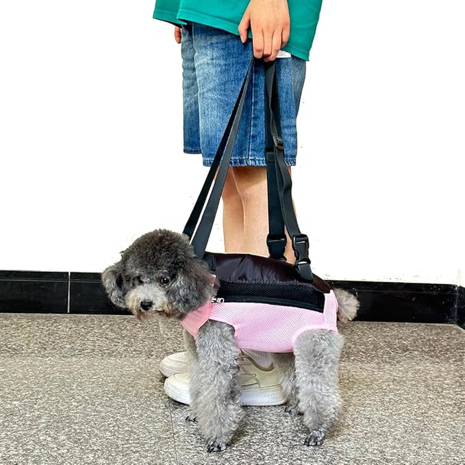 Pet Dog Carrier Backpack, Portable Breathable Mesh Chest Carrier, Polyester Woven Double Shoulder Pet Bag for Outdoor Adventures (Pink, Large)