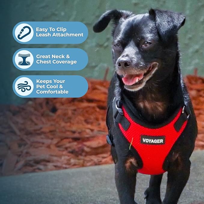 Voyager Step-in Pet Harness - All Weather Mesh, Adjustable Step in Harness for Cats and Dogs by Best Pet Supplies - Red/Black Trim, XL