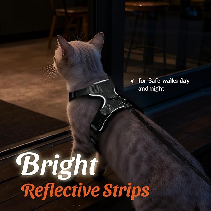 Dooradar Cat Harness and Leash Set, Escape Proof Safe Adjustable Kitten Vest Harnesses for Walking, Easy Control Soft Breathable Mesh Jacket with Reflective Strips for Cats, Grey, XXS
