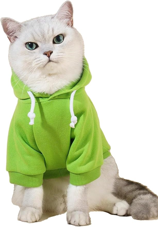 QWINEE Basic Dog Hoodie Sweatshirt Puppy Sweater Warm Cat Costumes Pet Clothes for Chihuahua Puppy Kitten Small Medium Dogs Green Large