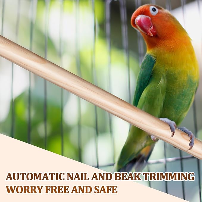 Sintuff 8 Pcs Bird Perches for Cage Accessories, Wooden Perch Rods Replacement with Double Head Slots, 0.6 Inch Diameter Natural Wood Stand for Parrot Macaw Cockatoo Parakeet(24 Inches)