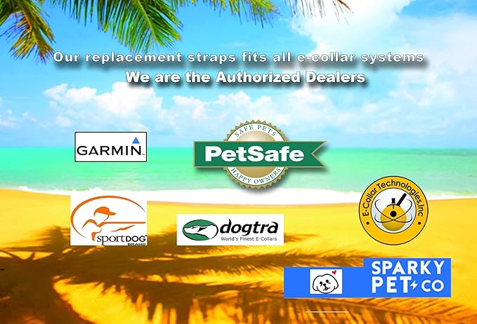Sparky Pet Co - ECollar Replacement Strap - Bungee Dog Collar - Waterproof - Adjustable - Secure Nexus Wheel Lock - for Electronic Training & Invisible Fence Systems - 1" (Green)