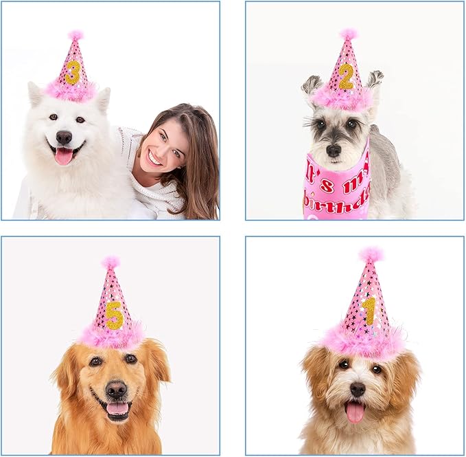 AROIC Dog Birthday Bandana Set, Pet Party Decorations Kit with 2 Bandanas, Fun Pet Birthday Party Decorations for Small Medium Dogs Pets, Cute Puppy Celebration Outfit with Hat, Bow Tie & Balloons