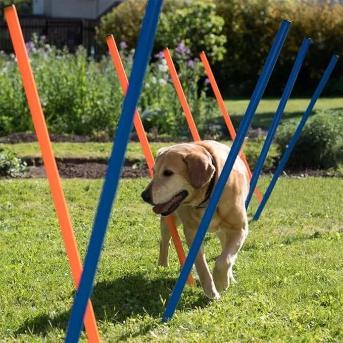 PAWISE Dog Agility Training Equipment,12 Weave Poles for Dogs with Stakes & Carry Bag, Dogg Agility Training Set for Outdoor Obstacle Course, Backyard Dog Exercise & Training Equipment for All Breeds