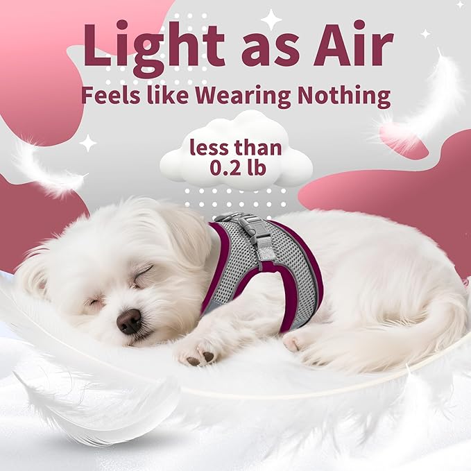 AIITLE Step in Dog Harness and Leash Set - Christmas No Pull Escape Proof Vest Harnesses with Soft Mesh and Reflective Bands, Adjustable Pet Outdoor Harnesses for Small and Medium Dogs Burgundy M