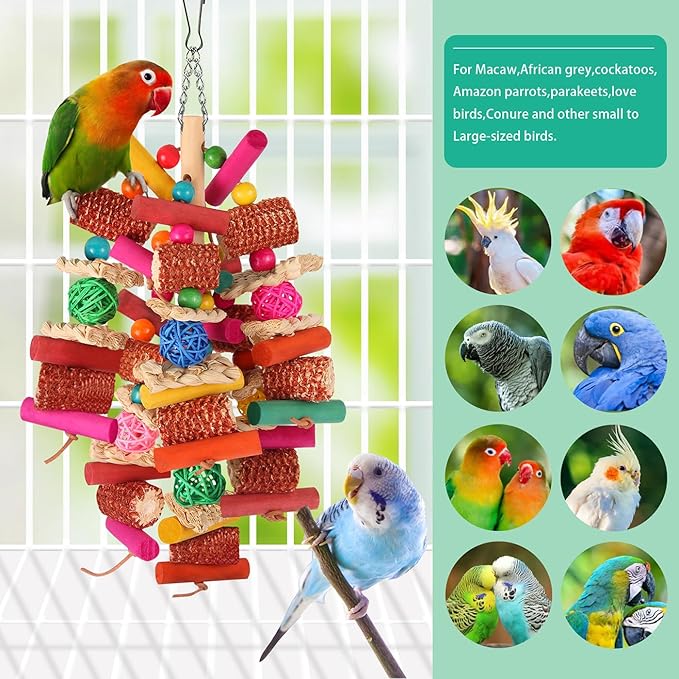 Kyouki Parrots Toys for Cockatiels, Budgies, Conures, Lovebirds, Quakers, Parrotlets, Caiques, Senegals, Meyer's & Other Small/Medium Birds - Natural Chewing & Foraging Toy with