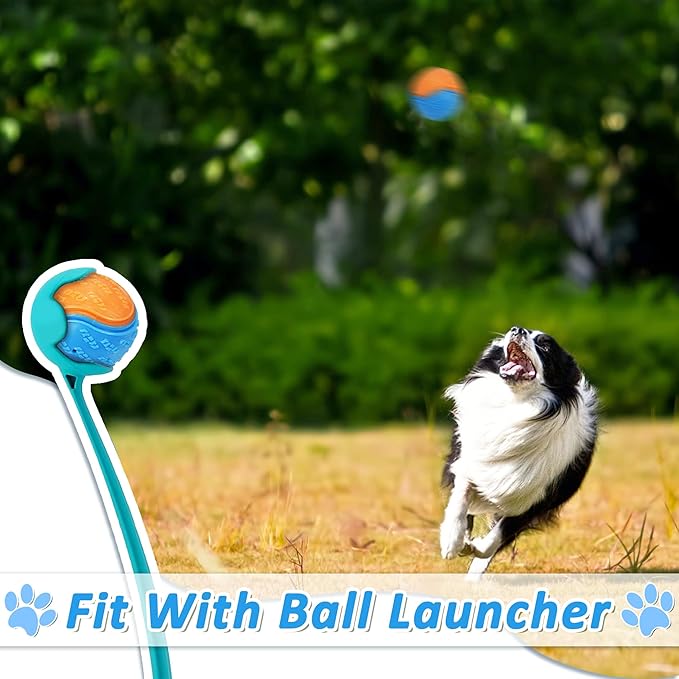 Dog Balls (S6-Muti Color)