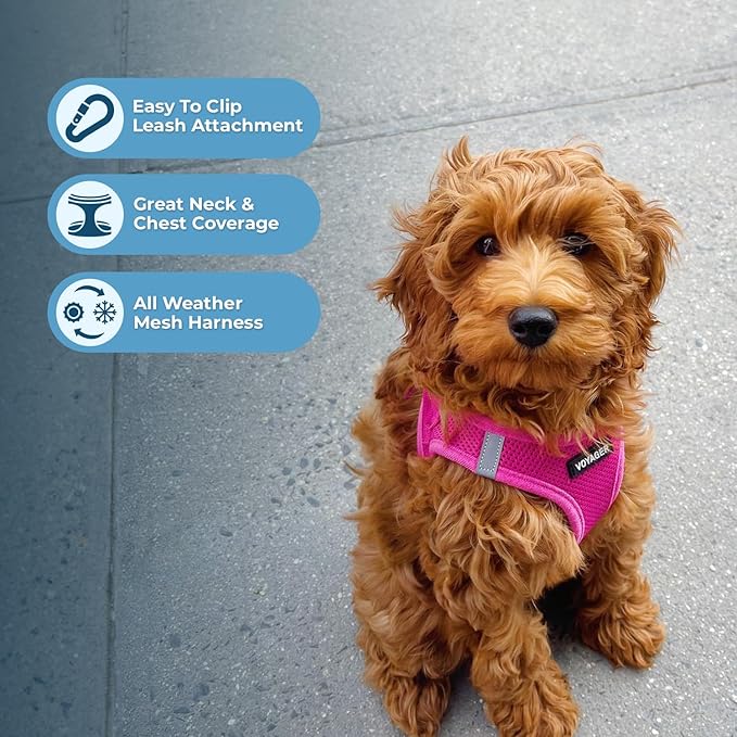 Best Pet Supplies Voyager Step-in Air All Weather Mesh Harness and Reflective Dog 5 ft Leash Combo with Neoprene Handle, for Small, Medium and Large Breed Puppies - Set (Fuchsia), XL