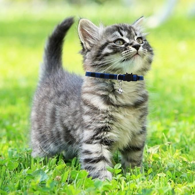 MJIYA Stylish Plaid Cat Collars with Bells - Adjustable Breakaway Kitten Collar (8-12 Inches) - Cute Collar for Girls and Boys - Pet Gift and Accessory（Blue, M