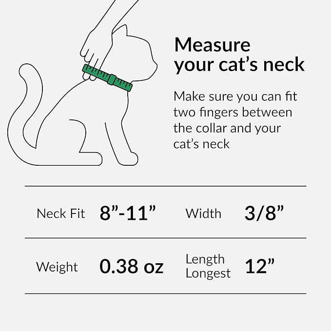 CollarDirect Leather Cat Collar with Bell - Kitten Collar, Small and Big Cat Collar for Boy Cats, Girl Cats with Safety Elastic Strap (Neck Fit 8"-11", Pink)