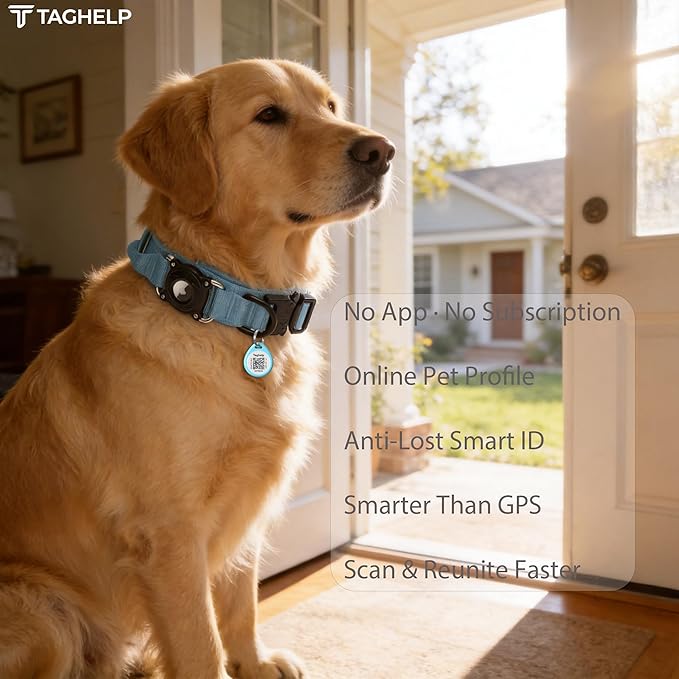 2 Pack-Custom pet Tags, Pet Id Tags for Dogs, Cat & Dog Collar Charm, Lightweight Sturdy Cute Cat Smart ID Tags, Personalized Dog Name Tags,Silent, Lightweight Durable,NO APP(Blue&Blue, 1.2")
