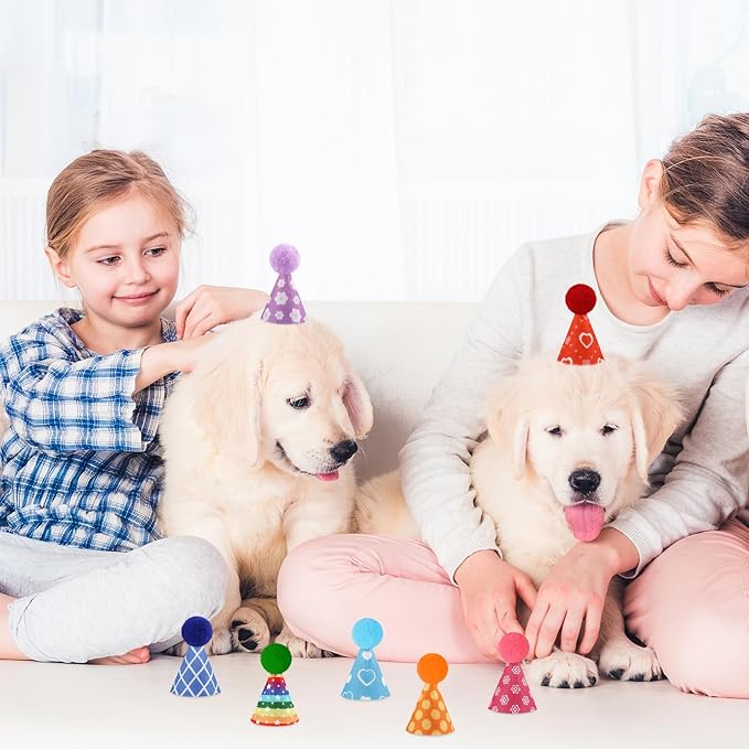 Hxezoc 10 Pcs Mini Birthday Party Hats Colorful Cone Felt Hats for Animals Stuffed Pets Birthday Holiday Accessories Decoration Supplies