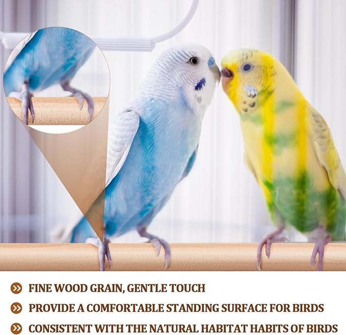 Sintuff 8 Pcs Bird Perches for Cage Accessories, Wooden Perch Rods Replacement with Double Head Slots, 0.6 Inch Diameter Natural Wood Stand for Parrot Macaw Cockatoo Parakeet(18 Inches)
