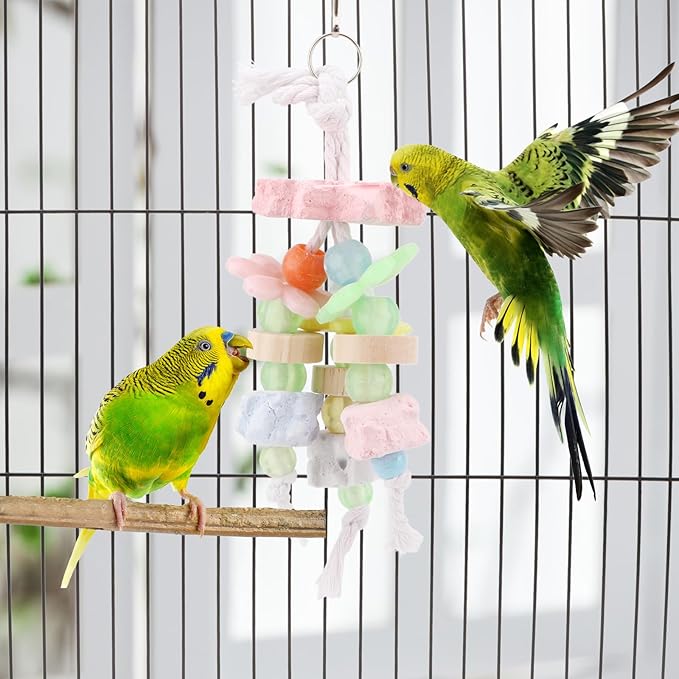 Hypeety Bird Calcium Teeth Grinding Stone Chew Treats Toy Beak Buffer Stone for Hamster Bird Parrot African Grey Parakeets Cockatiels Conures Amazons Small Animal Cage Hanging Bite