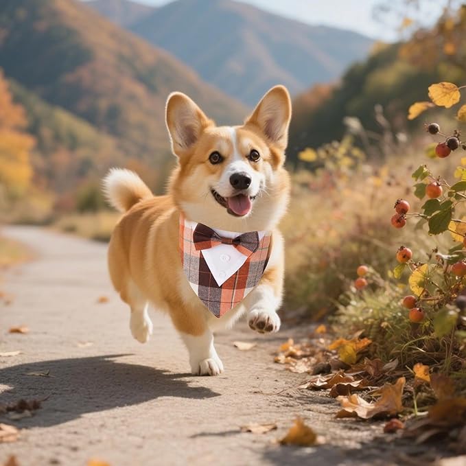 ADOGGYGO Fall Dog Tuxedo Bandana, Orange Plaid Pet Fall Collar with Bowtie, Adjustable Halloween Thanksgiving Costume for Extra Small Dogs (XS)