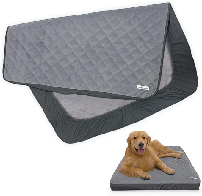 Paw Inspired Waterproof Fitted Cover for Dog Bed | Washable Bed Protector for Dog Mattress | Removable Replacement Cover for Large to XL Pet Bed (Gray, 44 x 35 x 6 Inch)
