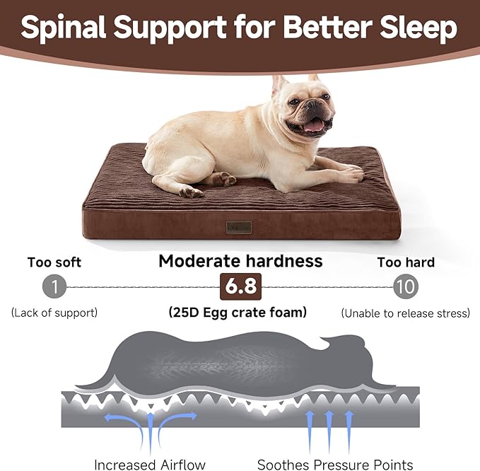 OhGeni Orthopedic Waterproof Top Surface & Machine Washable Dog Bed for Small Medium Pets, Suitable for Crates, Cat Mat with 25D Egg Crate Foam, Removable Cover, 30 Inches(Brown)