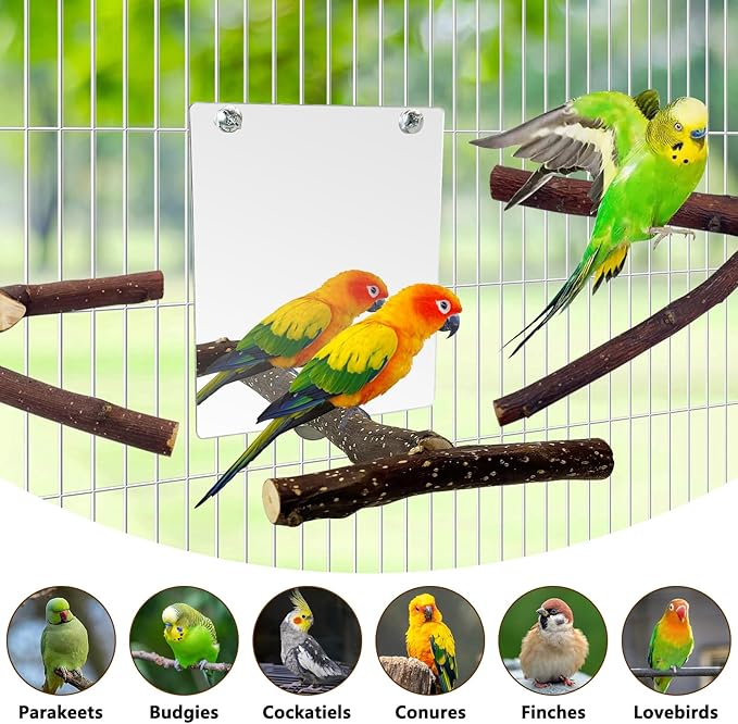 BNOSDM 5PCS Bird Mirror with Perches Stand Parrot Natural Wood Stick Perches Forked Perch Branch Parakeet Toy Set Bird Cage Accessories for Budgie Cockatiel Conure Finch Lovebird