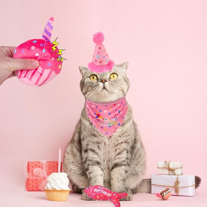 BINGPET Cat Birthday Catnip Toys for Indoor Cats, 5 Pcs Cat Birthday Gift Kitten Interactive Toys for Boy Girl Cats, Soft Plush Catmint Kitty Chew Kick Toy, Hat, Bandana, Balloon, Cake, Fish, Pink