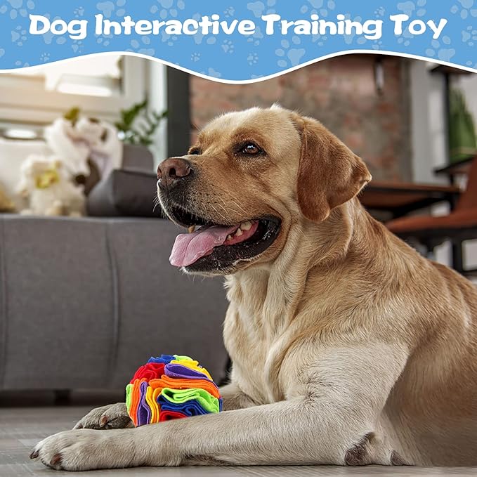 2 Packs Snuffle Ball for Dogs Stress Relief Interactive Dog Enrichment Toys Dog Sniff Mat Pet Snuffle Ball Toy Foraging Mat Dogs Treat Ball Pad Dog Puzzle Toys for Anxiety Relief Enhance Sniffing