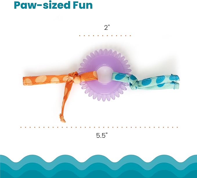 Catstages Kitty Chew Wheel, Dental Cat Toy with Catnip Oil, Teeth Cleaning, Healthy Chewing, Boredom Relief, Kicking & Batting for Kittens and Adult Cats, Purple (Pack of 2)