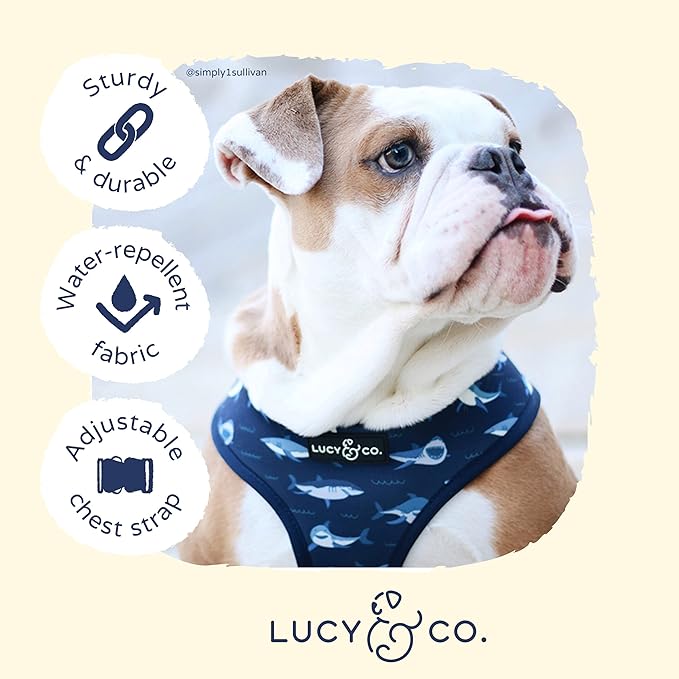 Reversible Dog Harness Walking Halter - Best Designer Pet Harnesses for Extra Small Medium Large XL Dogs Plus Pug Breeds - Padded Adjustable Puppy Vest for Easy Walking (X-Large, Shark Attack)