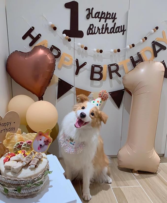 Dog Princess Costumes Puppy Birthday Bandana Scarf and Party Hat Cute Lace Dog Bib Scarf and Birthday Hat Doggy Birthday Party Decorations Set