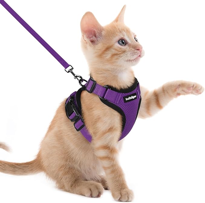rabbitgoo Cat Harness and Leash for Walking, Escape Proof Soft Adjustable Vest Harnesses for Cats, Easy Control Breathable Reflective Strips Jacket, Purple, XXS