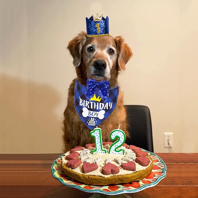ADOGGYGO Dog Birthday Hat Bandana - Navy Blue Birthday Boy Dog Bandana Pet Party Hat with Numbers Bow and Happy Birthday Banner Set (Large)