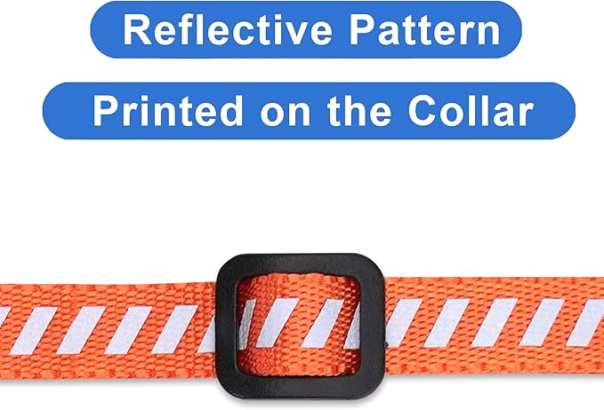 Pawtitas Personalized Orange Reflective Cat Collar – Adjustable Custom Collar with Safety Buckle, Removable Bell, and Engraved Name & Phone Number for Kittens and Adult Cats