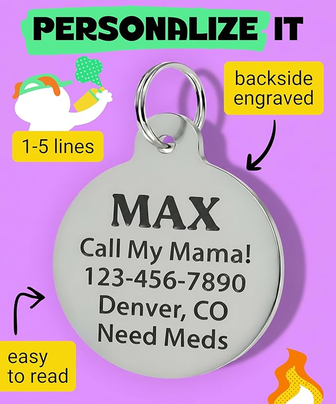 Bad Tags Personalized Dog and Cat ID Tags in 25+ Designs and 2 Sizes - 5 Lines of Custom Engraved Text - Funny Cute Personalized Pet Tags (Branch Manager, Small (1 inch))