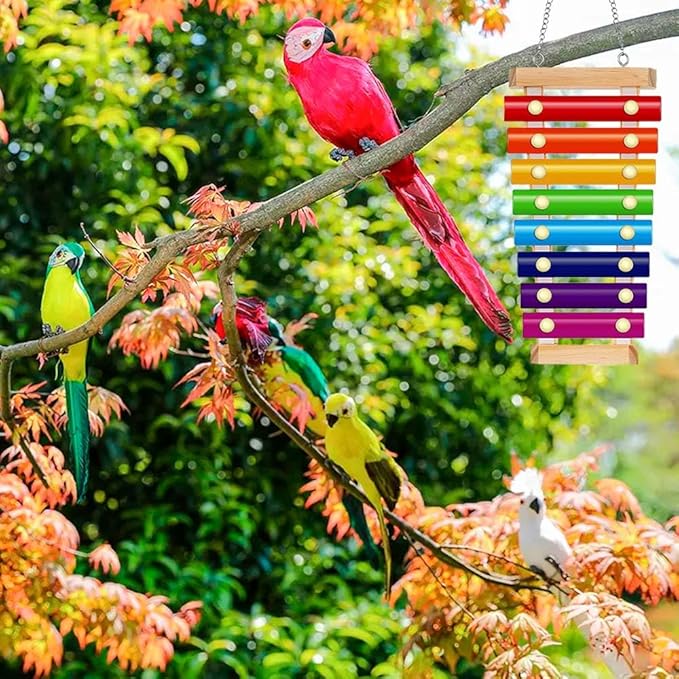 Bird Xylophone with Mirror & Bell Accessories - Musical Training Toy for Conure, Budgie, Cockatiel, Cockatoo, Parakeet, Finch (Bird Xylophone with Mirror)