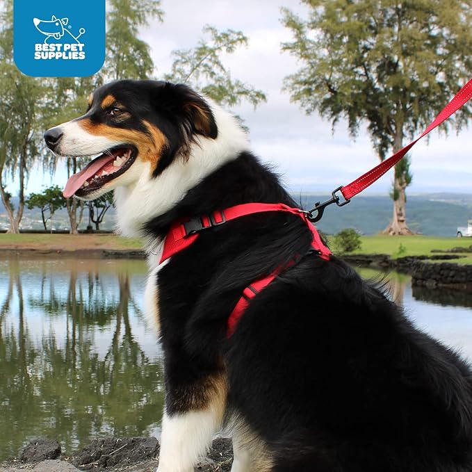 Voyager Step-in Pet Harness - All Weather Mesh, Adjustable Step in Harness for Cats and Dogs by Best Pet Supplies - Baby Blue, XL