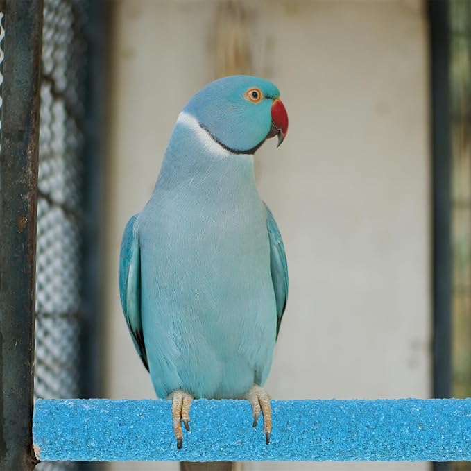 Bird Perches Stand for Cage, 2 Pcs Parrot Bird Cage Perch Toy Paw Grinding Stick Cages Wooden Grinding Claw Sticks Sanded Surface Cages Toy for Parakeets Finches Parakeet Toys Birdcage Accessories