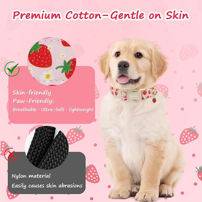 Strawberry Dog Collar, Cute Pink Dog Collars for Medium Dogs, Sweet Fresh Style Pet Collar Medium Dog Collars, Puppy Collar with Quick Release Buckle for Girl Boy Dog-M