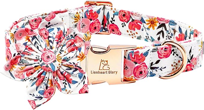 Lionheart Glory Floral Dog Collar - Soft, Durable & Adjustable for Small Dogs