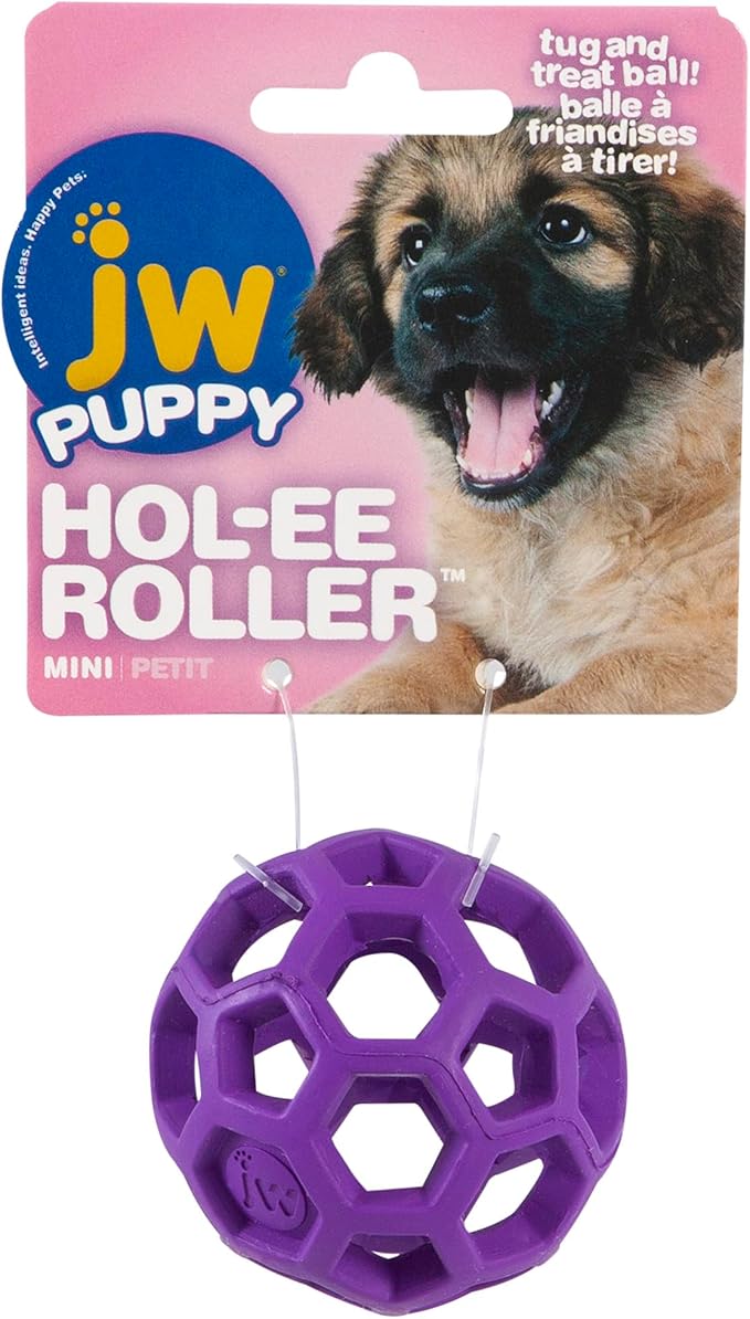 JW Hol-ee Roller Dog Fetch Treat Dispenser Puzzle Ball; Mini 1.75 Inch Diameter