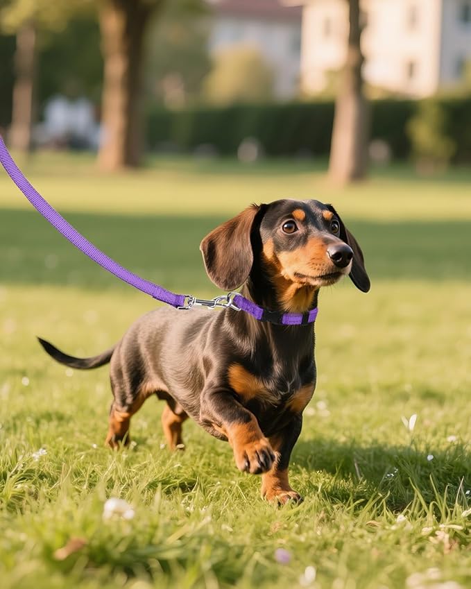 Joytale Small Dog Collar, Reflective and Adjustable Nylon Collar with Quick-Release Buckle, Lightweight No-Choke Design for Puppy and Extra Small Dogs, Purple, XS