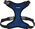 Voyager Step-in Pet Harness - All Weather Mesh, Adjustable Step in Harness for Cats and Dogs by Best Pet Supplies - Royal Blue/Black Trim, XL